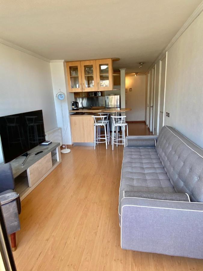 Apartamento Providencia Plaza *