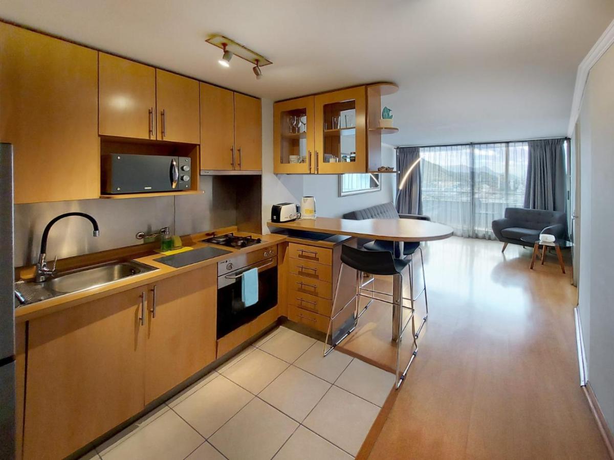 Providencia Plaza Apartamento